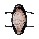 1037894_2.webp
